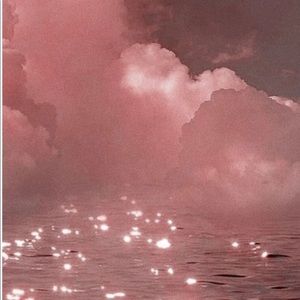 Meet your Posher, Caitlyn